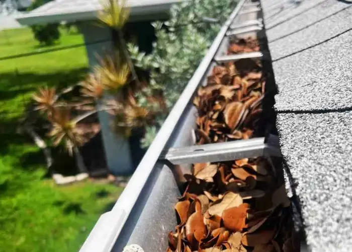 Wadsworth gutter cleaning home page